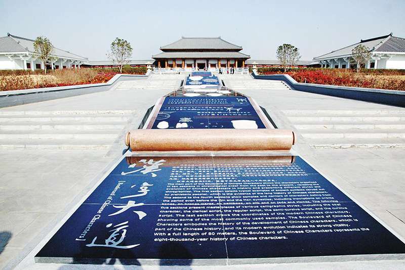 山东案例5